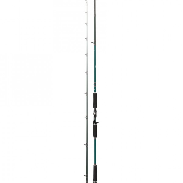 Canne casting Beast X 802 XXH 50-2000gr Abu garcia