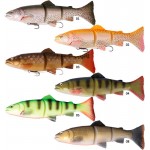Leurre souple 3D Trout Line Thru SS 20cm Savage Gear